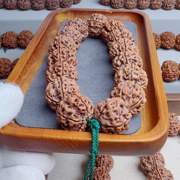 手串金刚菩提原生态梁雪山铁籽五星梅花双龙粗筋楼空订制20+