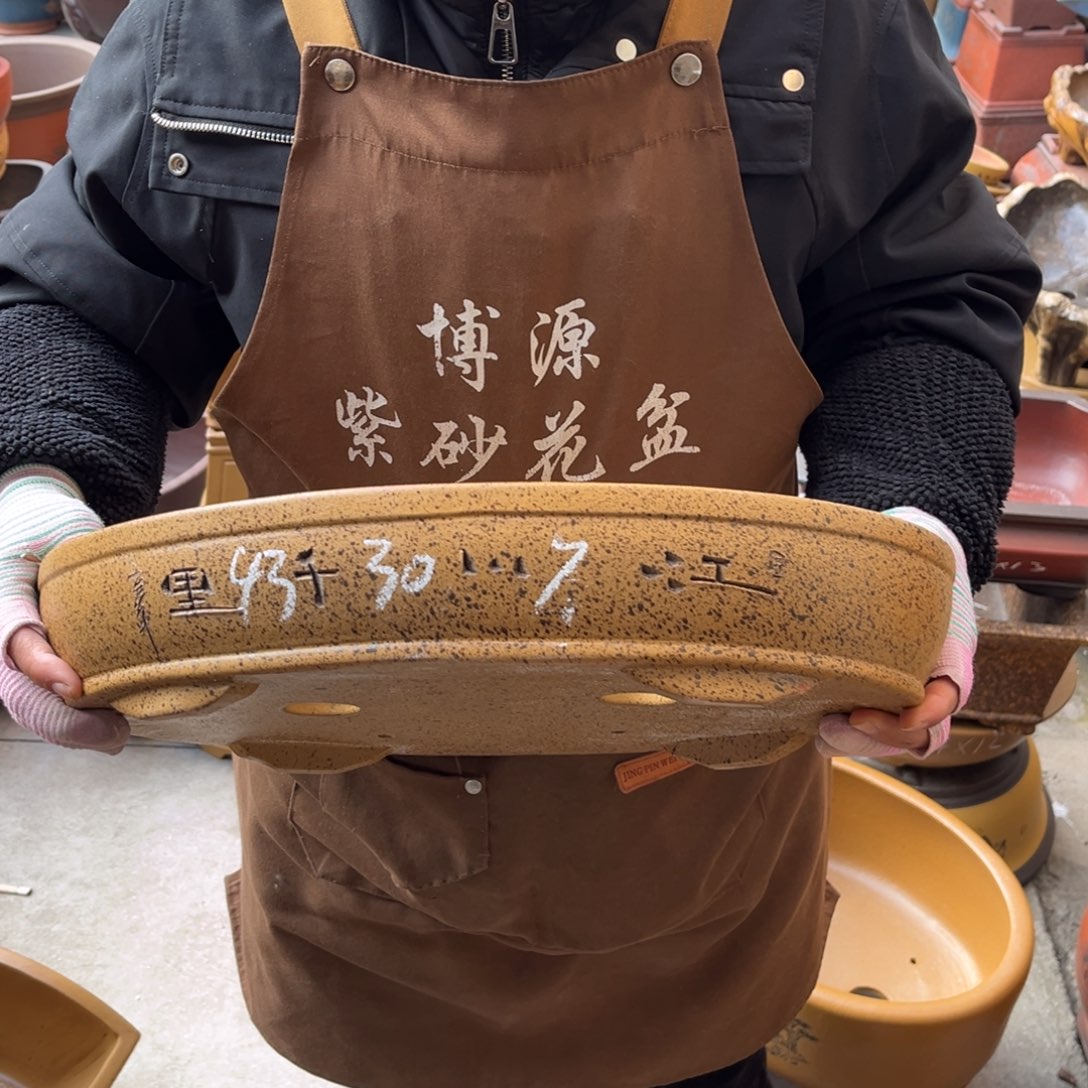 花盆紫砂盆景艺术