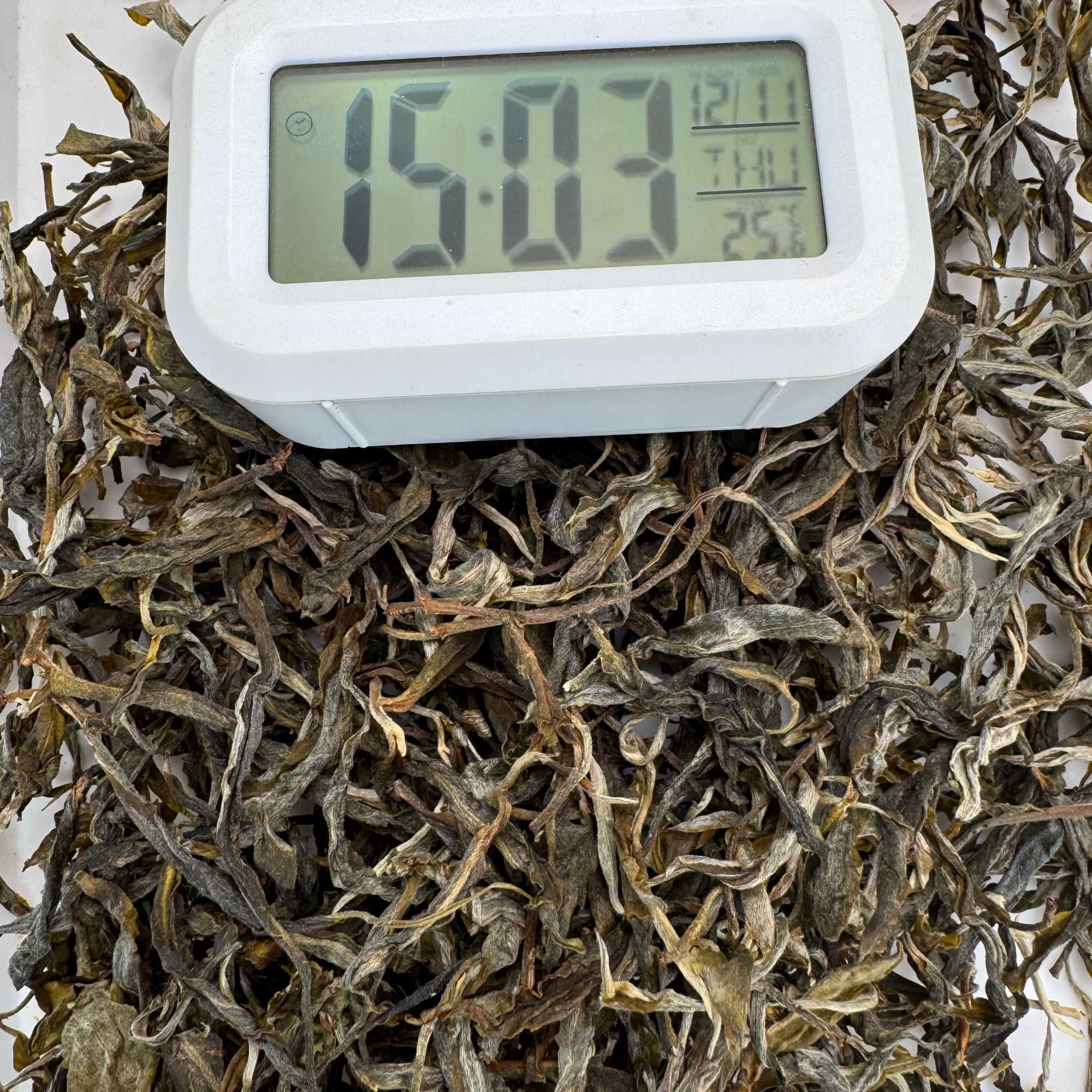 2025年·春 坝糯藤条单株·普洱生茶·散茶·100g-12月11日【150号】