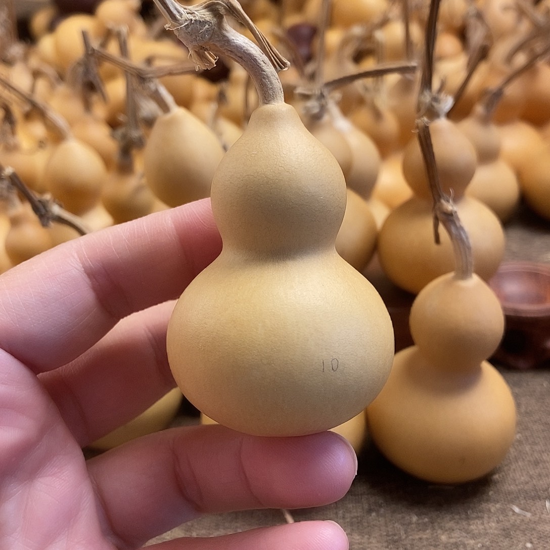 文玩葫芦 完美主义者 慎拍10