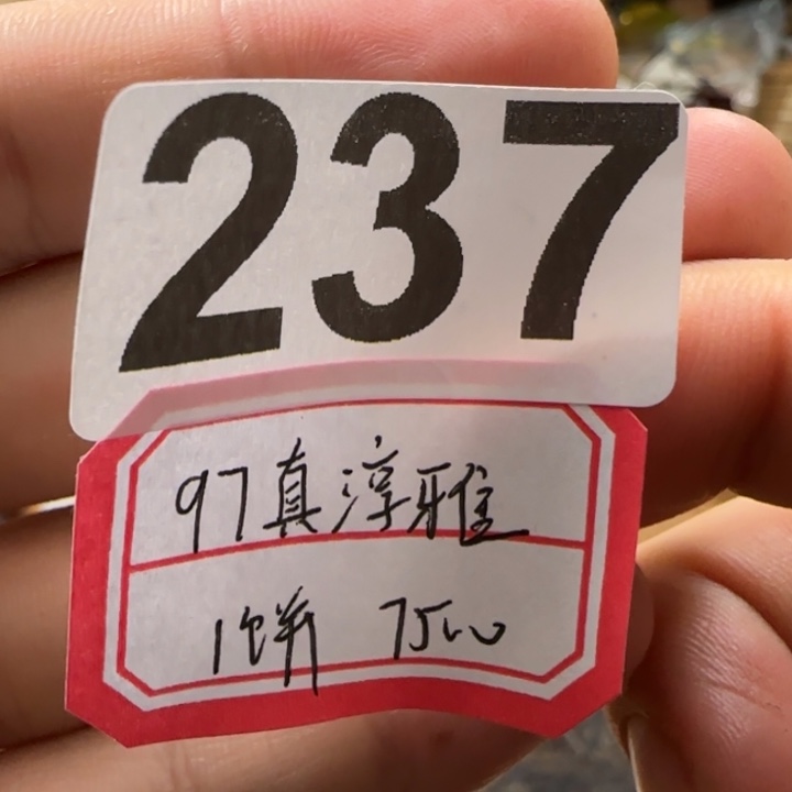 紫砂茶壶237………………