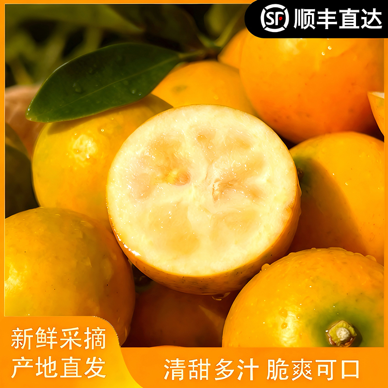 【脆蜜金桔】 顺丰直达40g大凉山纯甜无籽无核孕妇小孩放心吃无酸