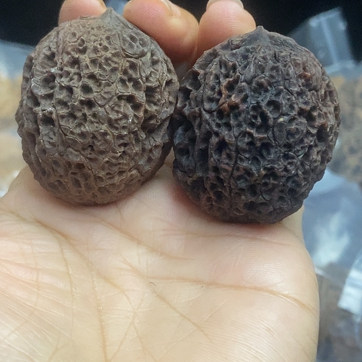 把件文玩核桃云南铁核桃基地10