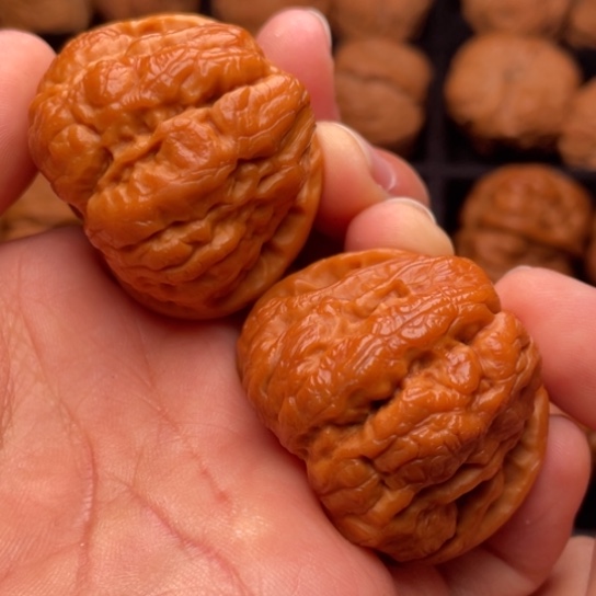 文玩核桃把件秦岭山脉核桃