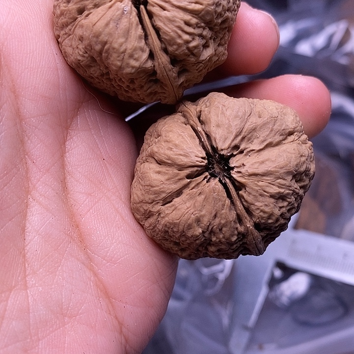 文玩核桃把件   51