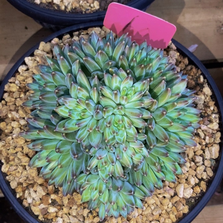 是吗这不还没有下班我