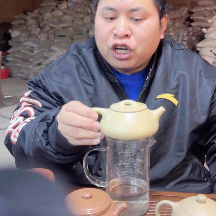 紫砂茶壶本绿全手工紫砂壶