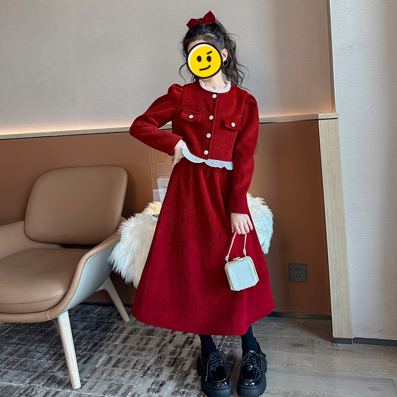 女童连衣秋冬款2024新款大童秋装套装儿童加绒半身裙洋气公主裙D