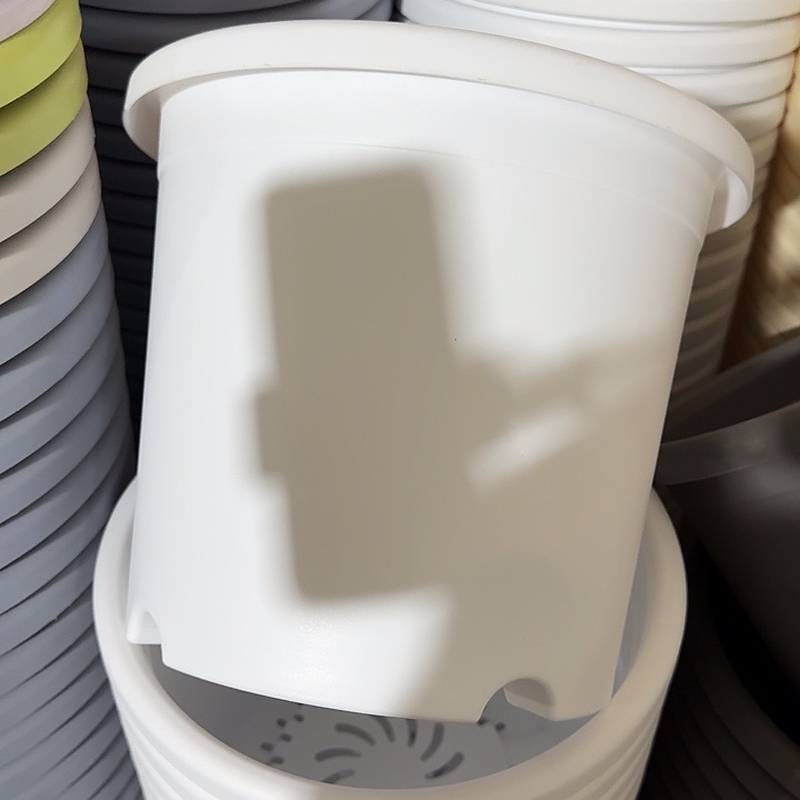 四季5号纯白无拖6个特价微瑕