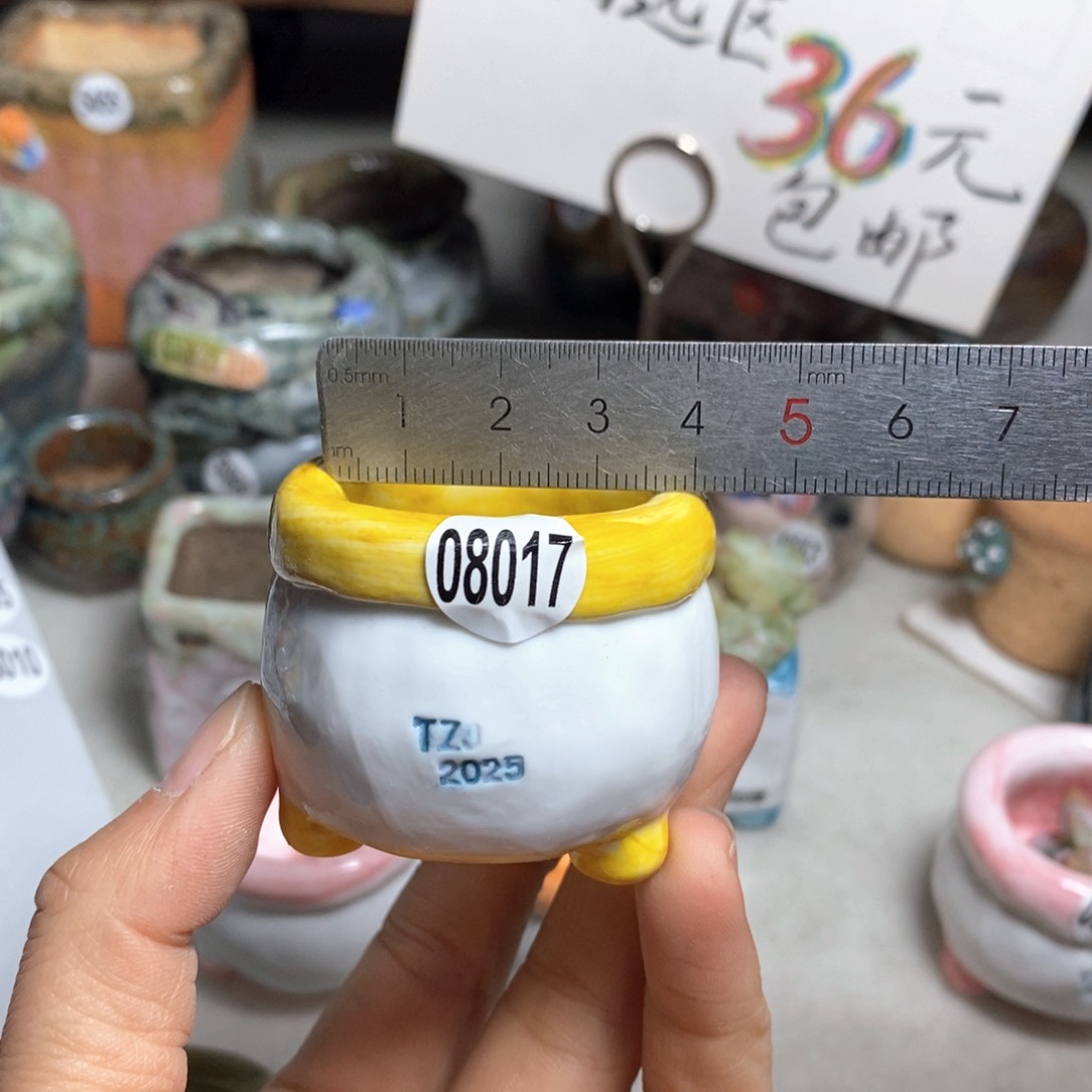 花盆双十二活动不退不换的原28元一个