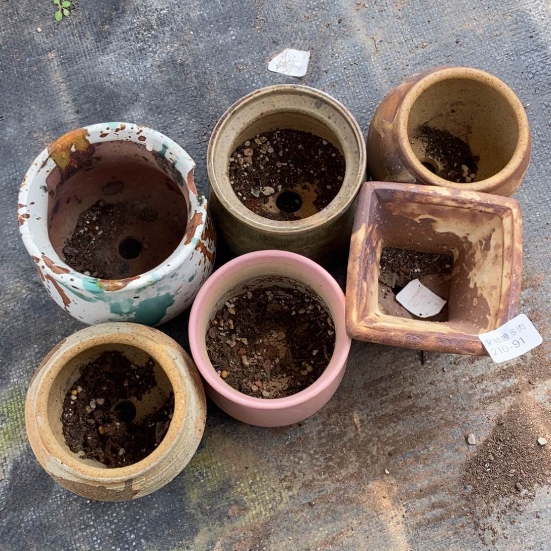 91号多肉盆六个组合