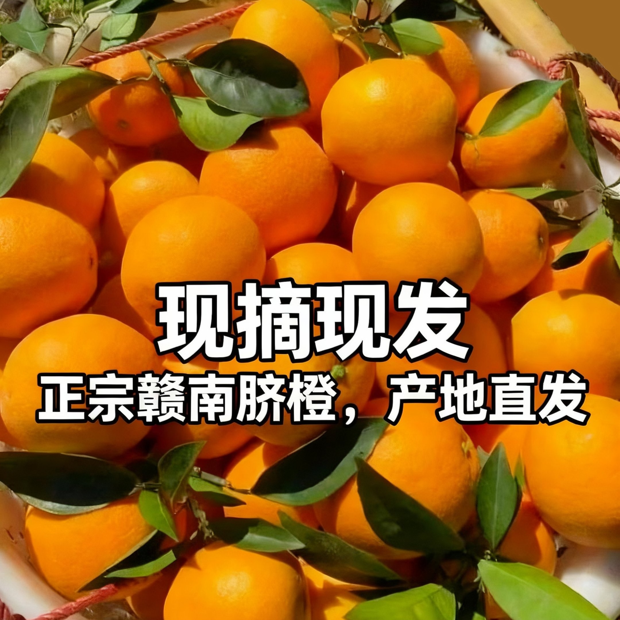 正宗赣南脐橙新鲜当季赣州应季橙子江西甜橙水果孕妇水果