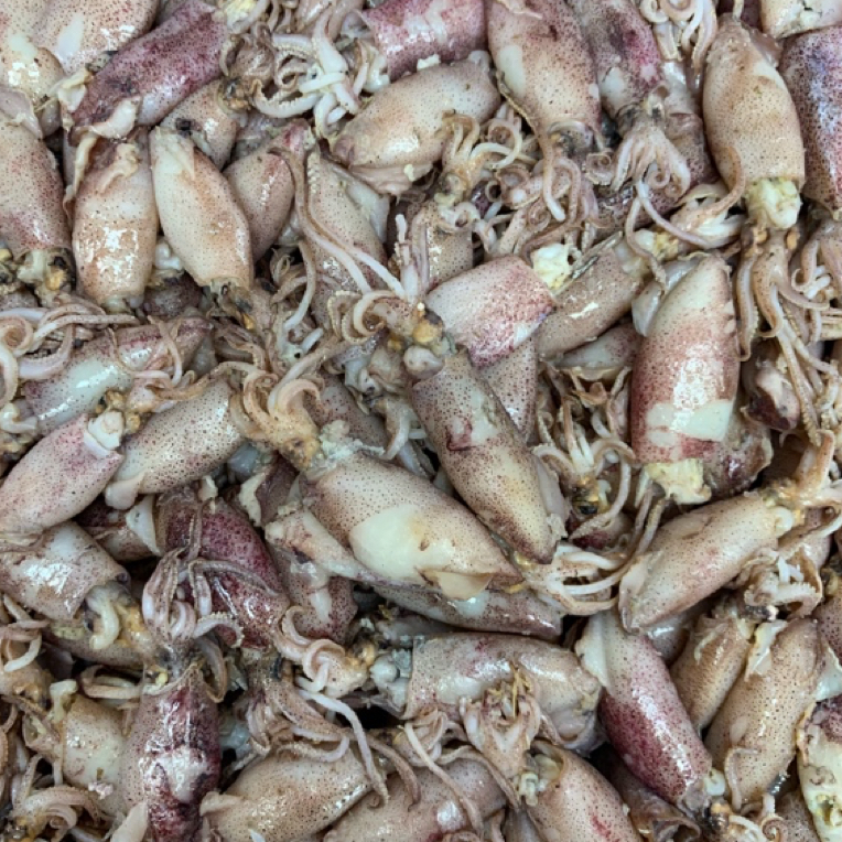 【蚝兴海味三店】本港前海珍珠海兔墨鱼仔（无沙）海鲜干货