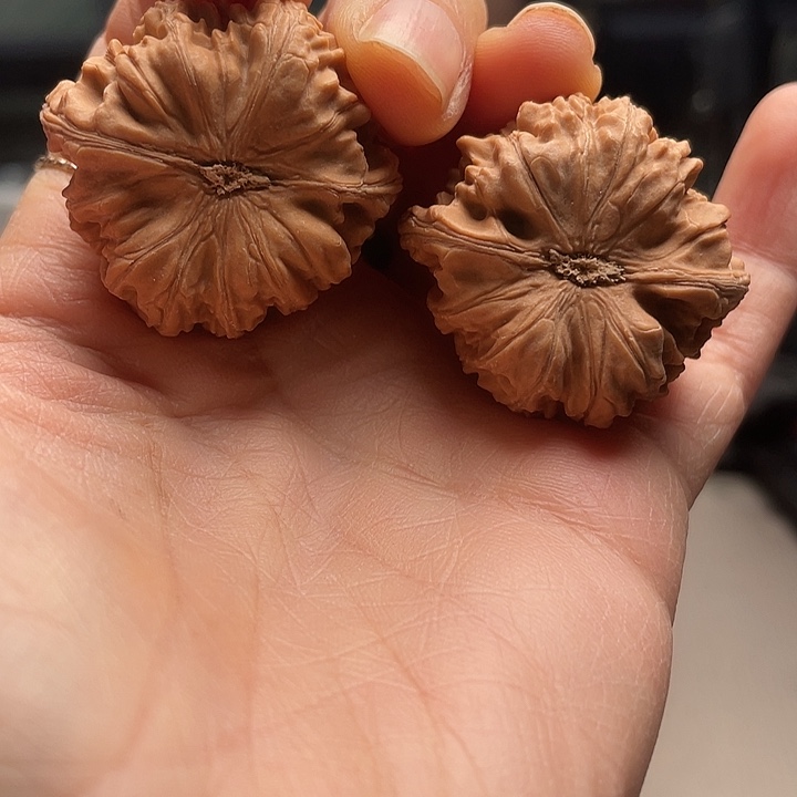 文玩核桃手串玉龙粗筋9.9吧啊呜呜