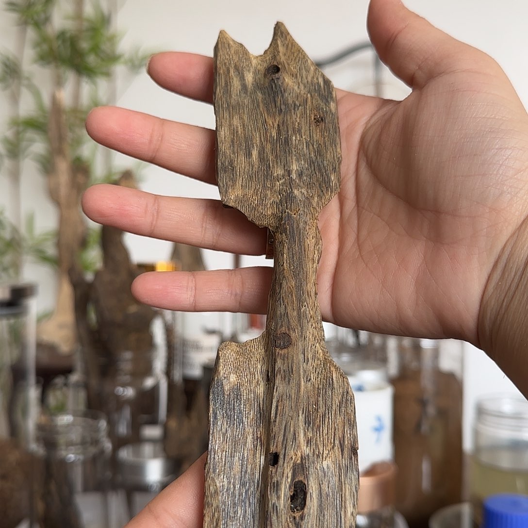 沉香沉香碎屑精品乌身虫漏50克