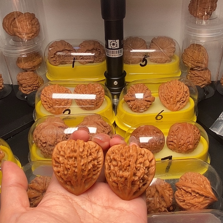 41高尖凹底龙门涧        