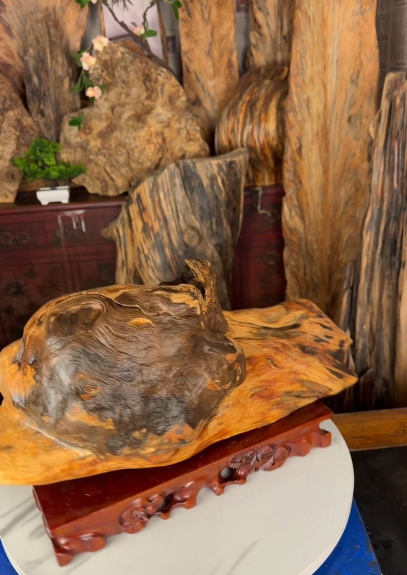 琥珀木家居摆件直播间拍