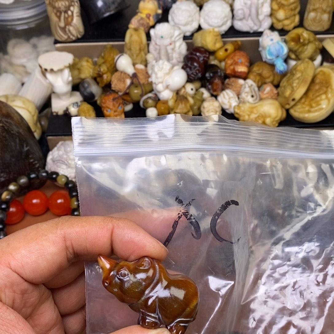 其他驼骨人工样子