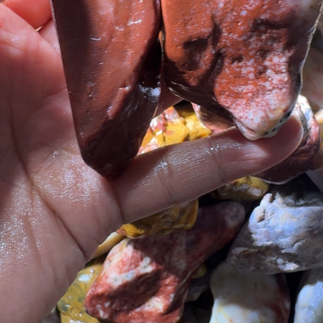 溜****寿山石899988899988999