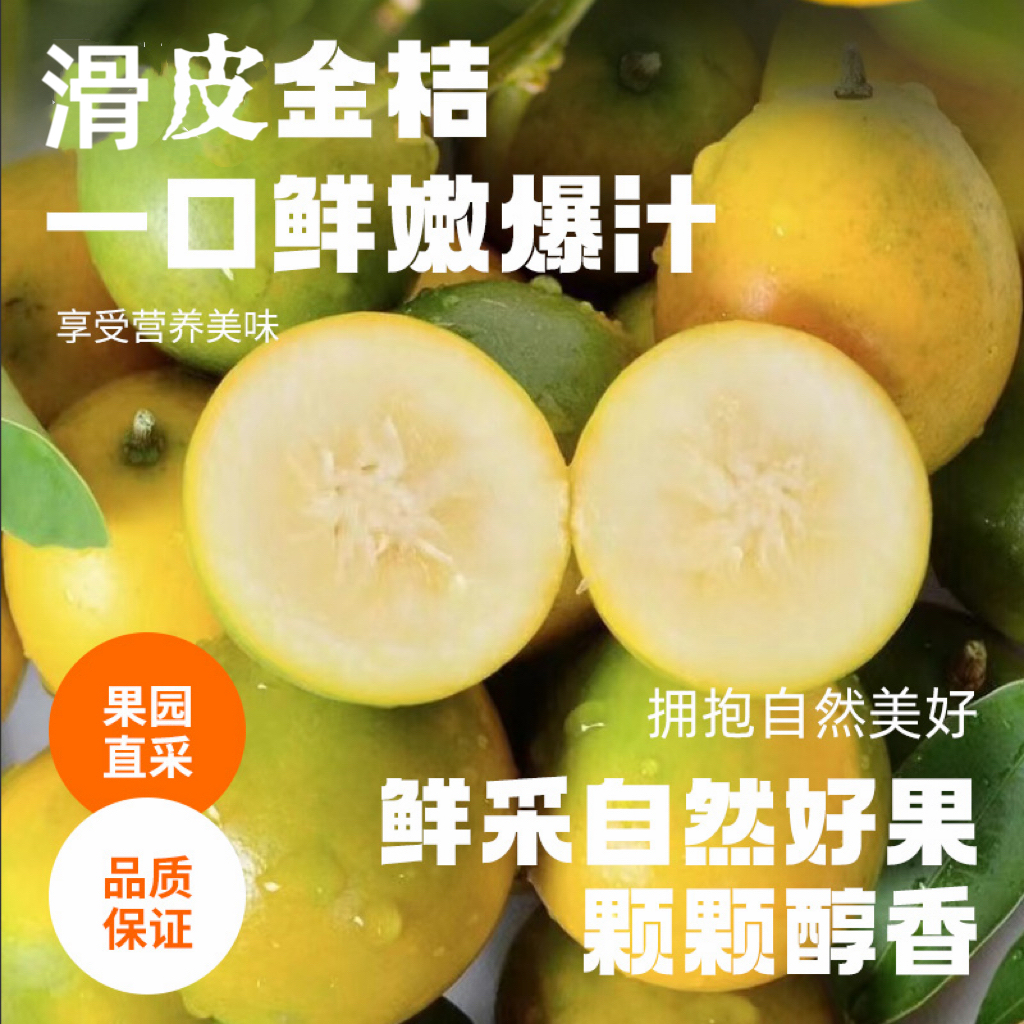 【破损包赔】广西融安第二代滑皮小金桔1/2/3斤小个产品非脆蜜金柑