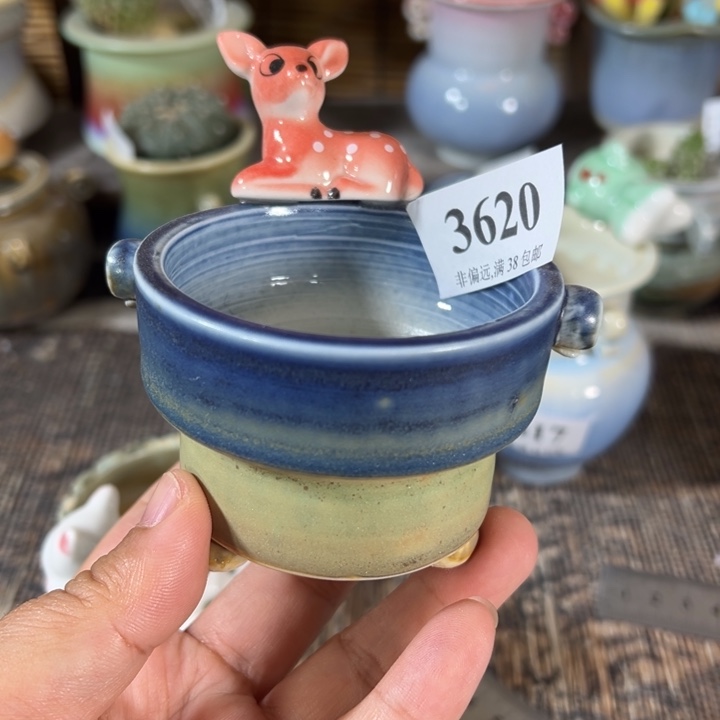 口6 未满30运费到付