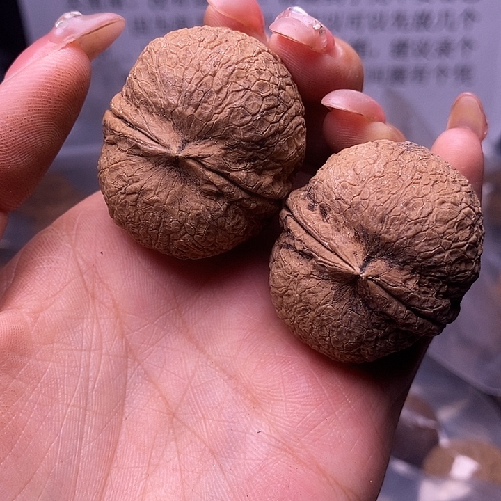 核桃云南野生铁核桃72号38m
