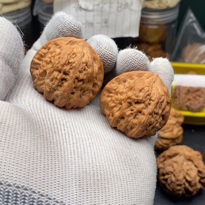 文玩核桃把件全品凹底40尺