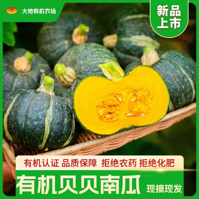 大地有机农场 · 有机贝贝南瓜| 有机种植 新鲜蔬菜 0色素、0农残、0