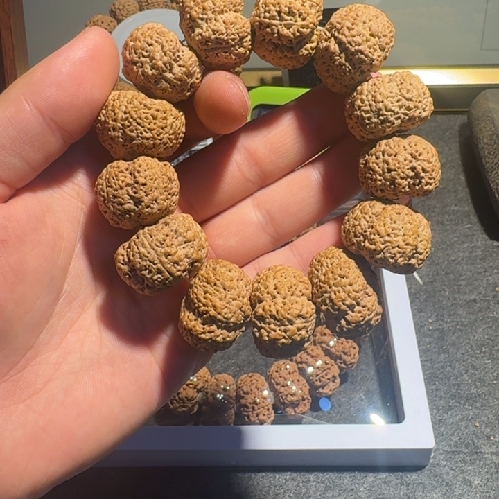好***在金刚菩提吊坠常考会计