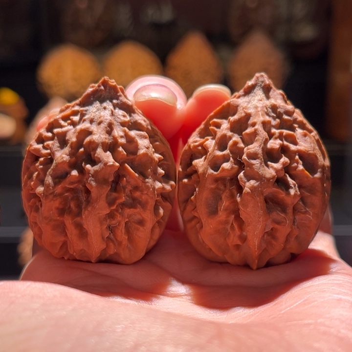 吊坠文玩核桃娇美楸13