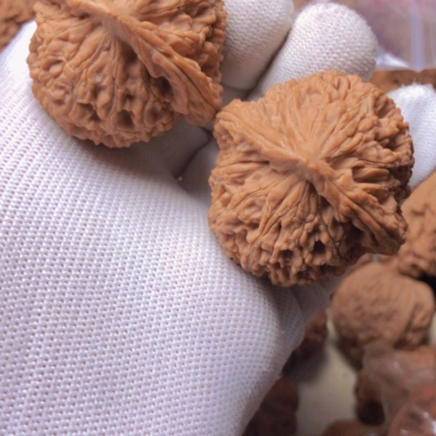 【闪购商品】桃核吊坠今***睡水龙纹狮子头