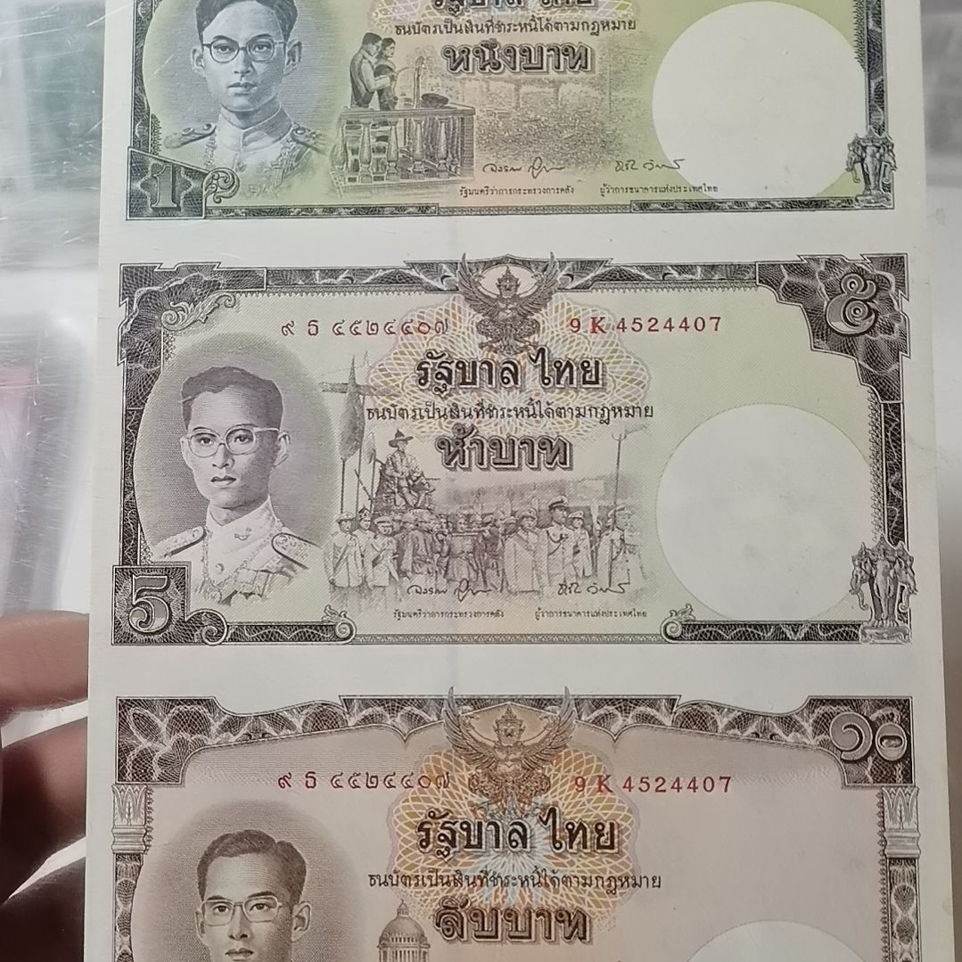 其他普通金属泰一张