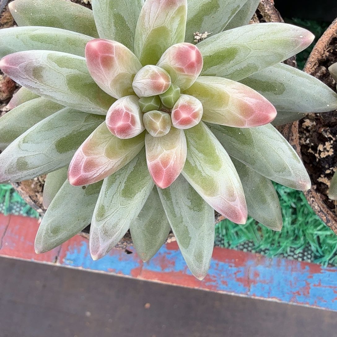 娜***Z哈哈哈哈哈哈哈哈哈哈哈哈