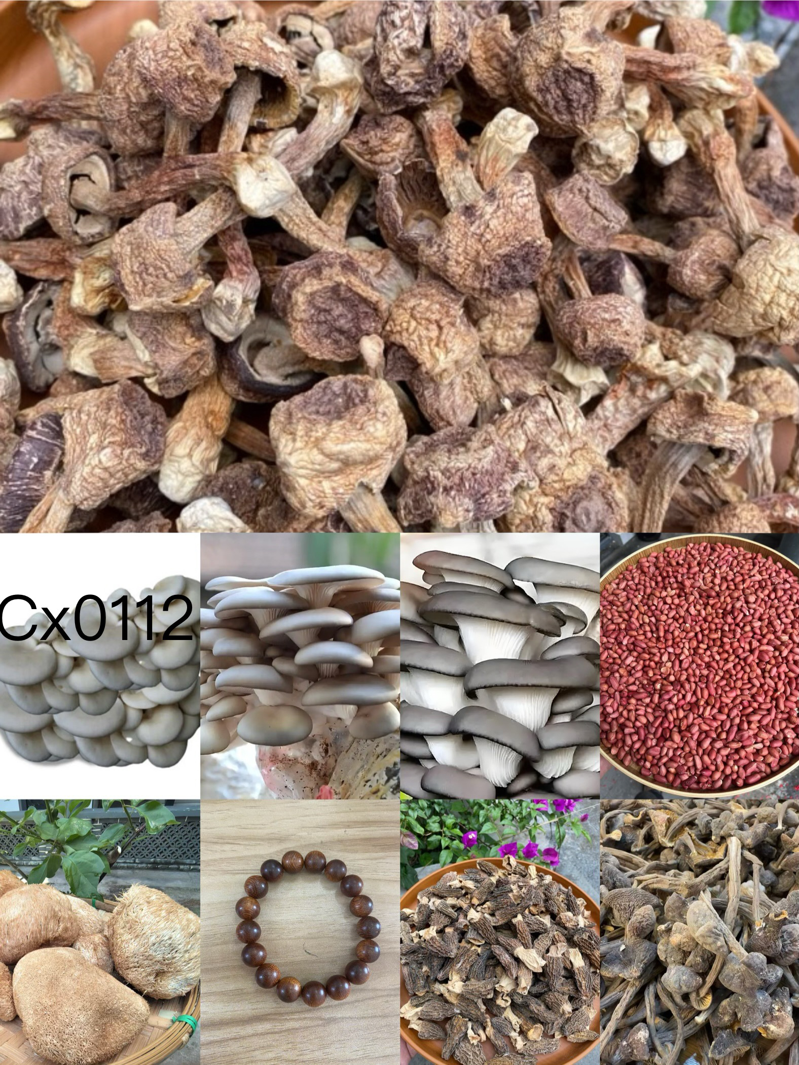 【孙哥专属土特产cx-0112】多样性发货 重量17克