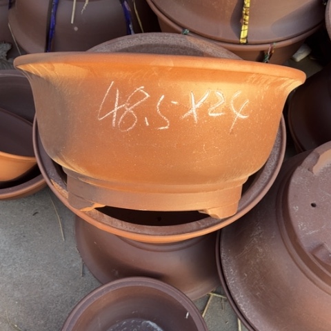 100-2。      组合