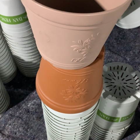 树脂李*5个中号粉色无托