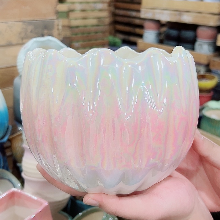 花盆有孔！订单凑满10米包由！