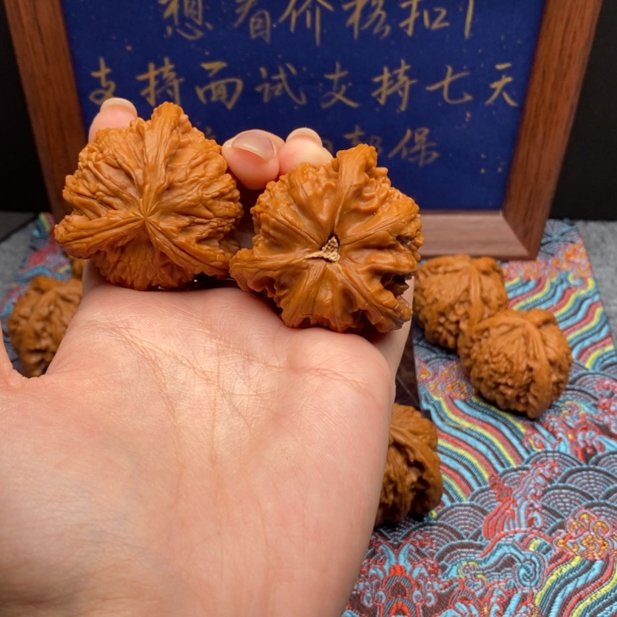 【闪购商品】老**，白狮