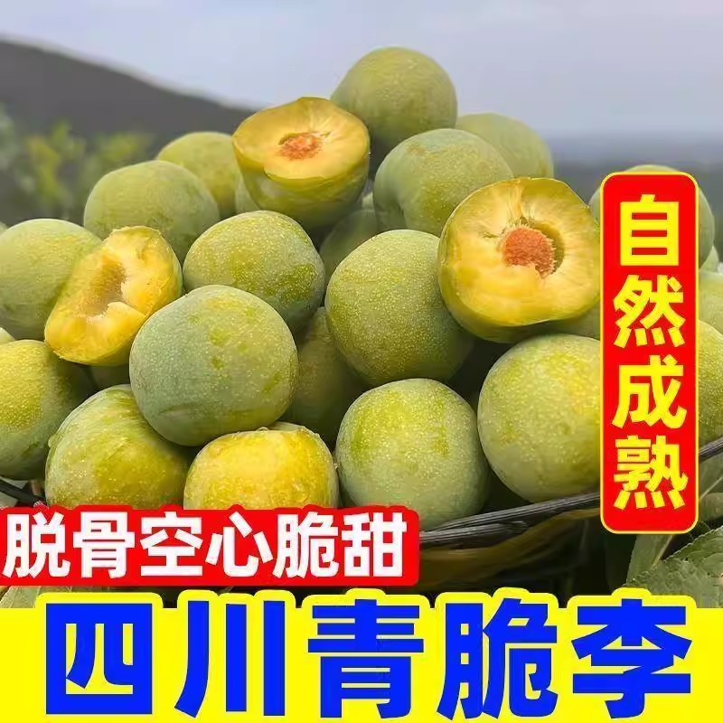 正宗农家青脆脱骨李新鲜李子脆甜多汁现摘现发坏果包赔