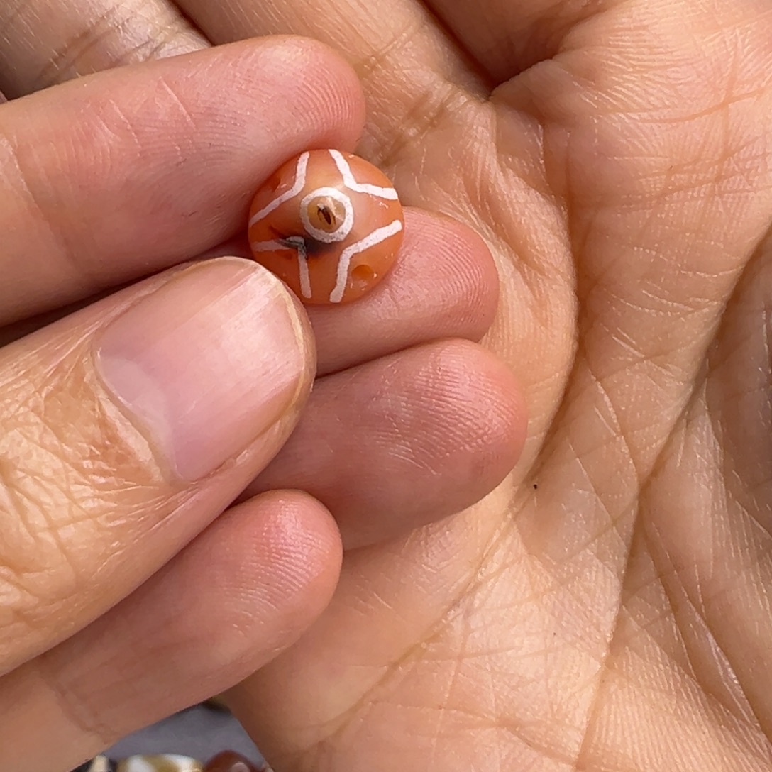 ****派直发专拍专用链接