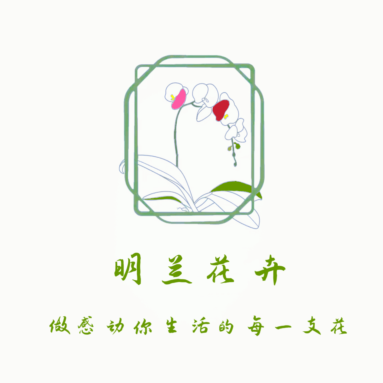 明兰花卉（花盆一个各种各样）是花盆不是花！！！不参与凑单！！！！