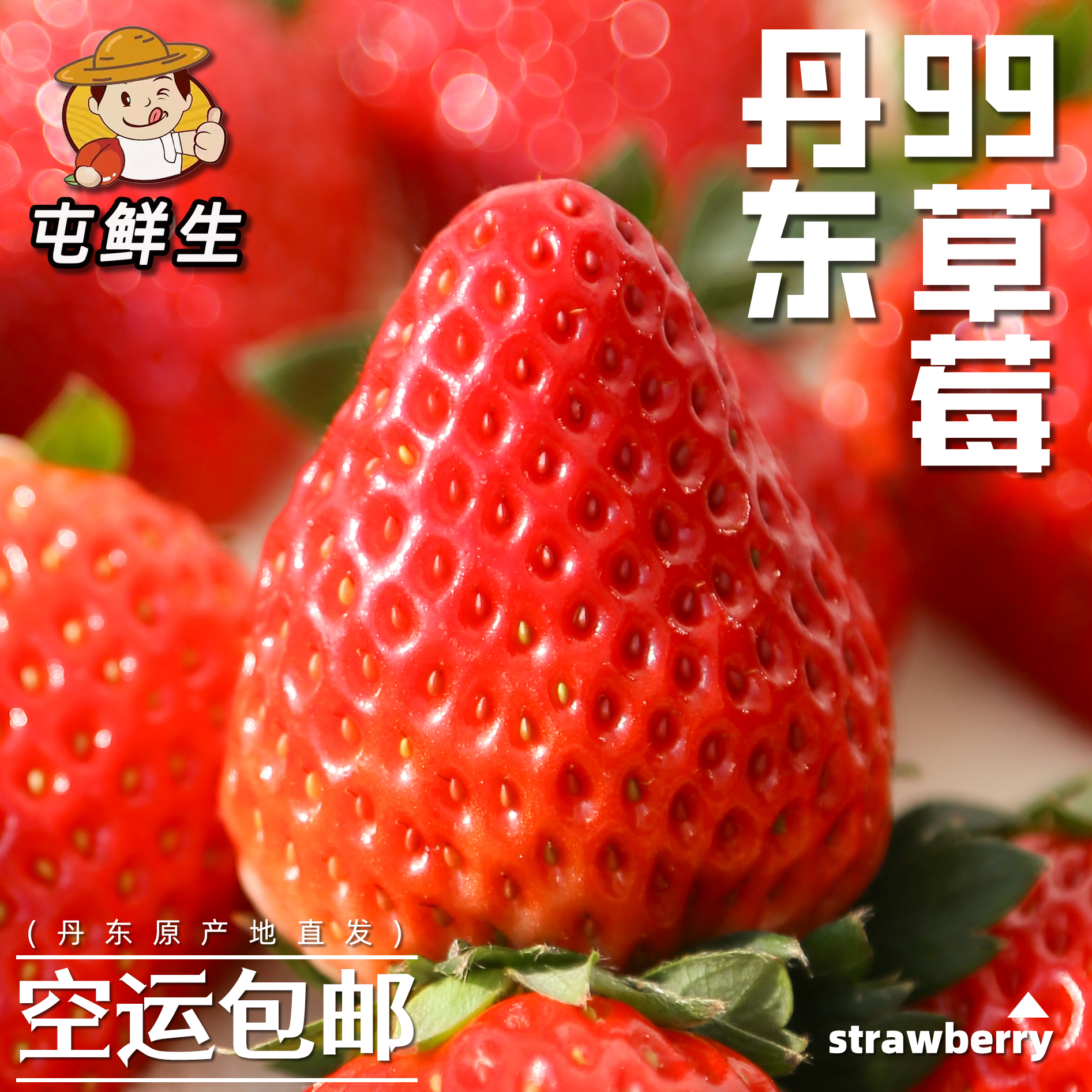 丹东草莓红颜99草莓牛奶99大草莓1.8/2.5斤空运包邮