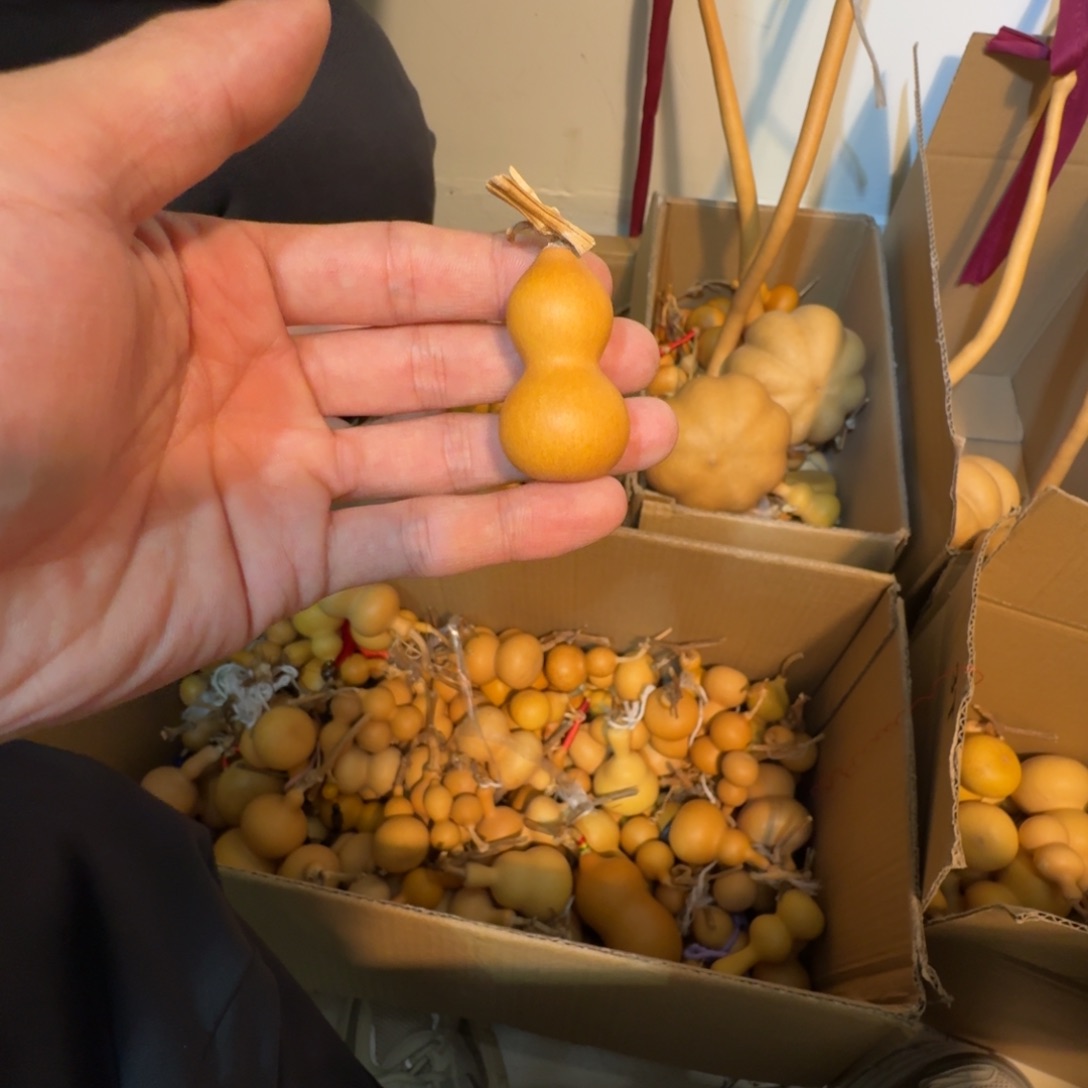 蹄***稳葫芦11111111111111111