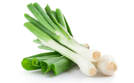 大葱约1斤 约1斤