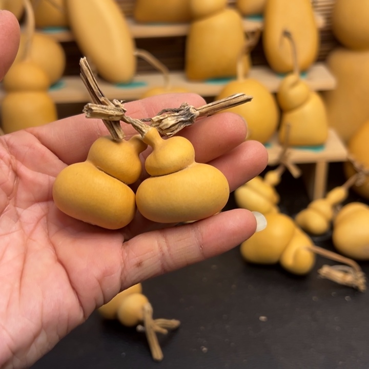 k****a葫芦葫芦葫芦葫芦葫芦葫芦