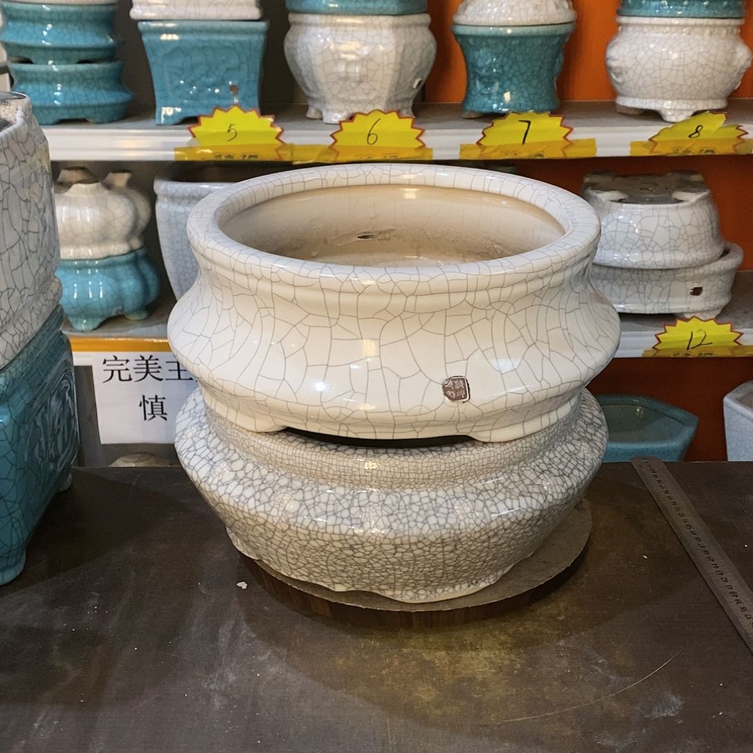 词*瑕疵花盆花盆里的花