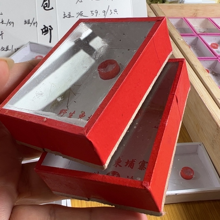 兵***李两只柬埔寨竹蛉好