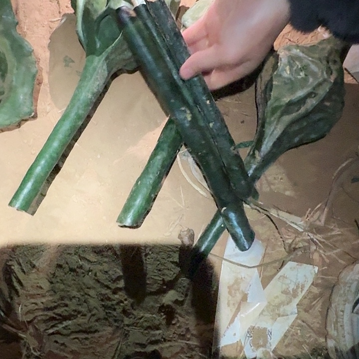 木家居葫芦精品摆件