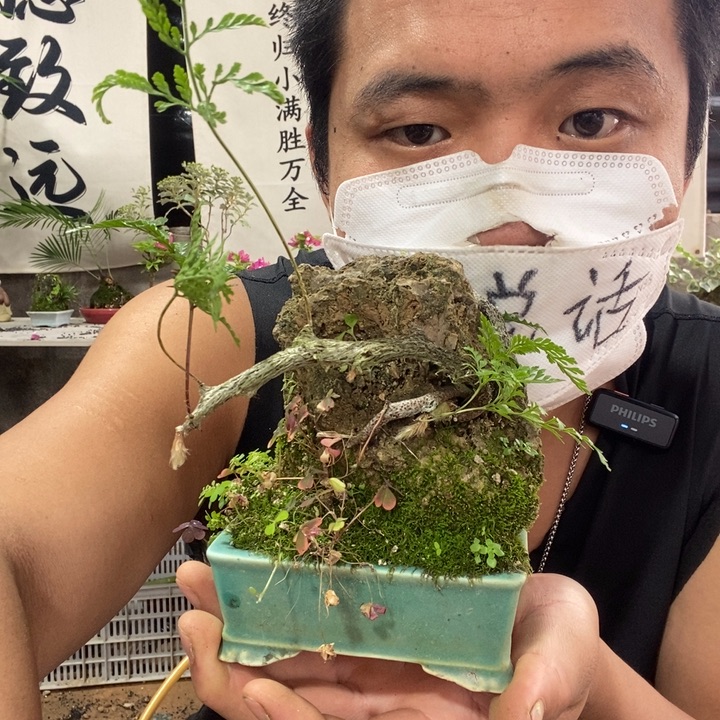 无花朵退款拉黑一物一拍98