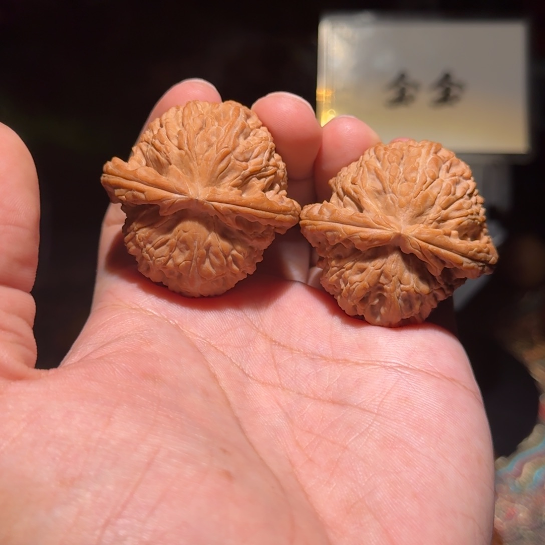 把件核桃1417粗筋球白，尺寸43